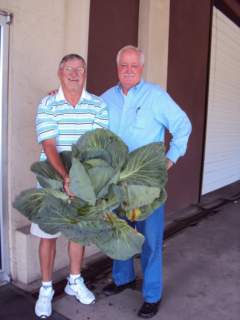 Herrin and Wayne with cabbage